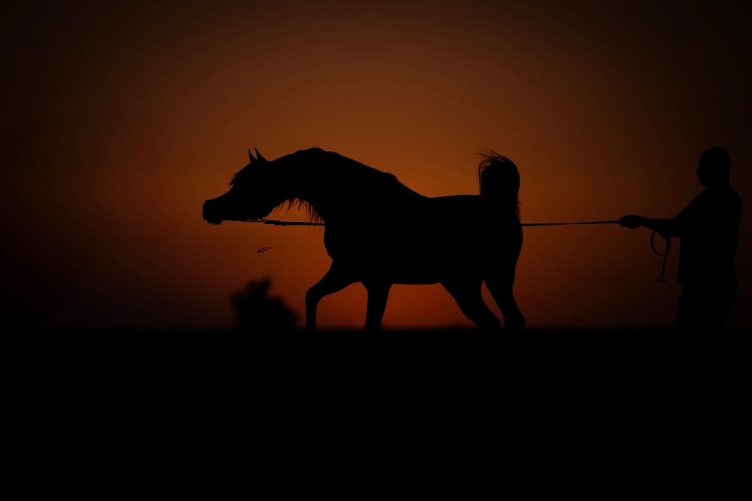 573137872_18535722667001811_124038587363445441_n